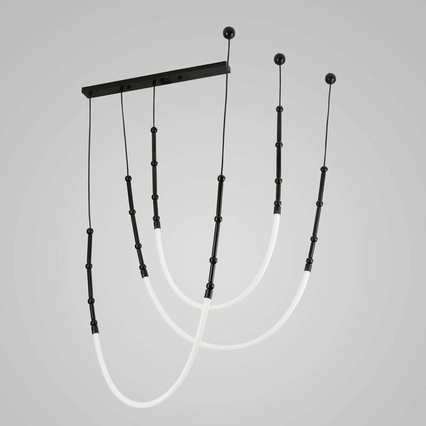 SUI GENERIS PENDANT LIGHT