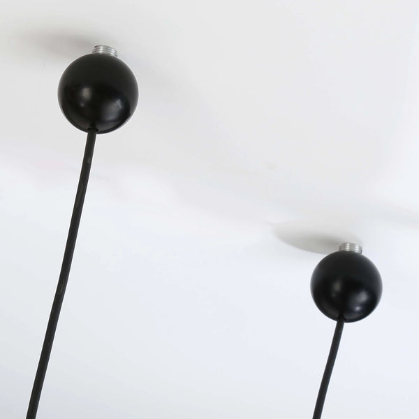 SUI GENERIS PENDANT LIGHT