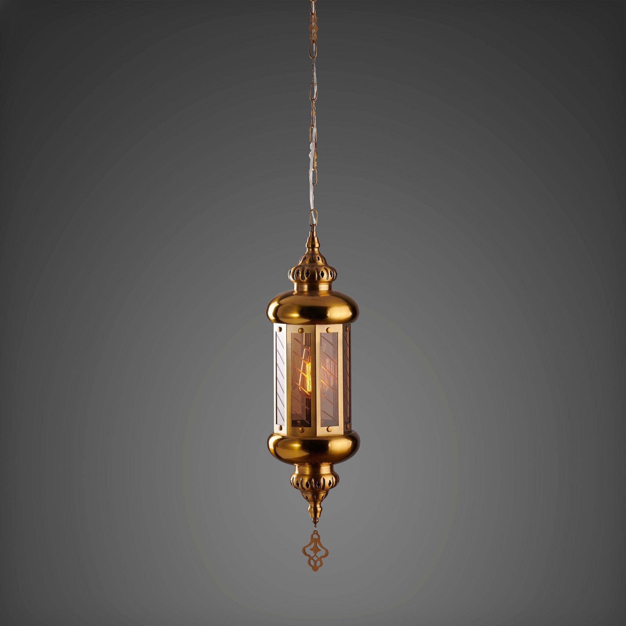 THE PALACE DIARIES-A PENDANT LIGHT