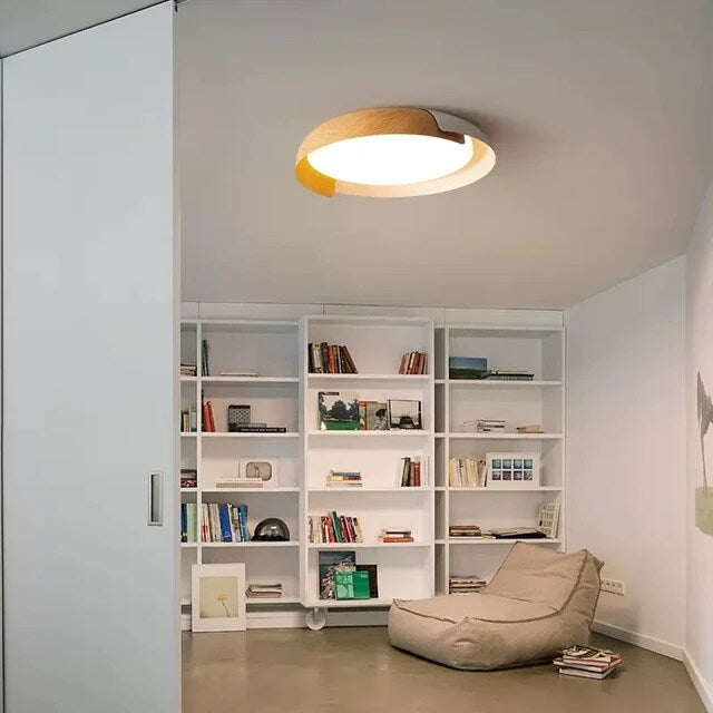 HARMONY OF LIGHT-A CEILING LIGHT