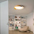 HARMONY OF LIGHT-A CEILING LIGHT