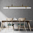 THE TERMINUS LINEAR PENDANT LIGHT