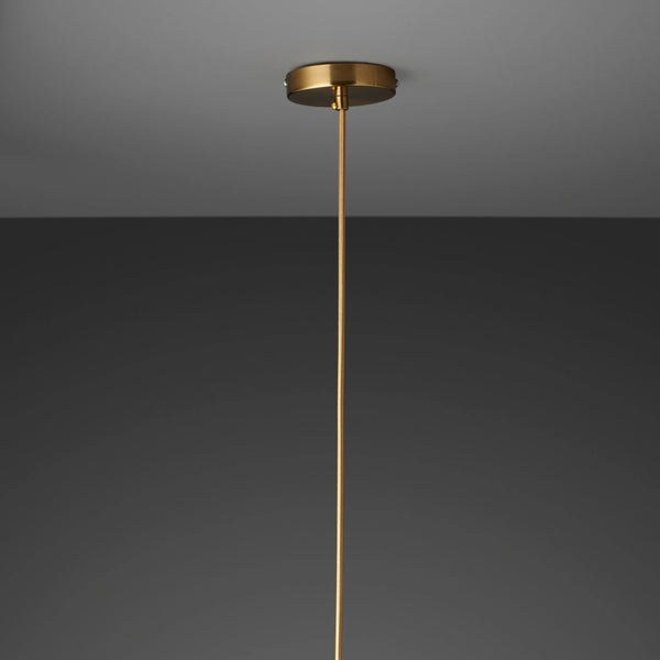 THE VICIOUS CIRCLE PENDANT LIGHT