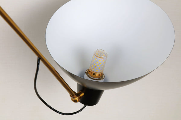 THE JANUS PENDANT LIGHT